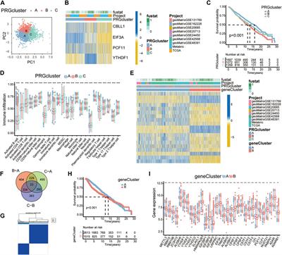 Cross-talk of four types of RNA modification proteins with adenosine reveals the landscape of multivariate prognostic patterns in breast cancer